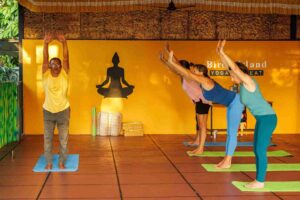 Ayur yoga retreat