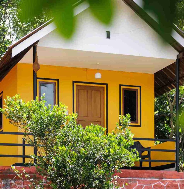 Best Ayurvedic Packages In Kerala